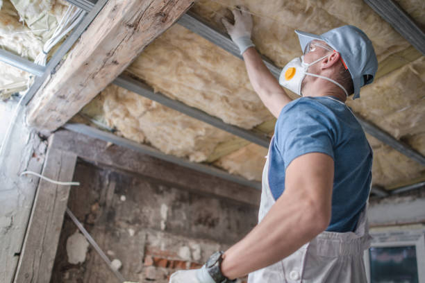 Best Insulation Removal  in Diamondhead, MS