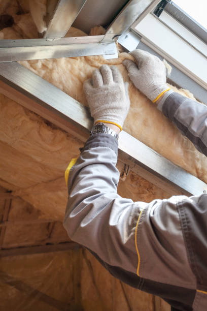 Best Insulation Repair Services  in Diamondhead, MS
