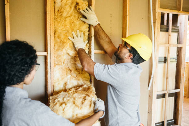 Best Insulation Replacement Services  in Diamondhead, MS