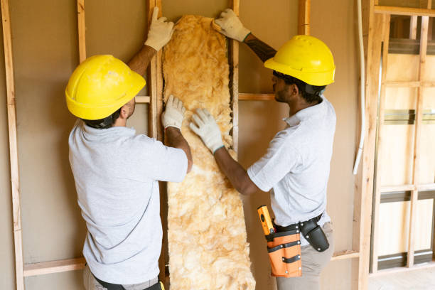 Best Insulation Contractors for Homes  in Diamondhead, MS