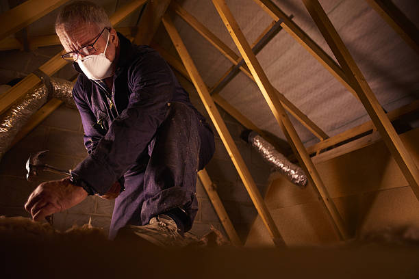 Best Cellulose Insulation  in Diamondhead, MS